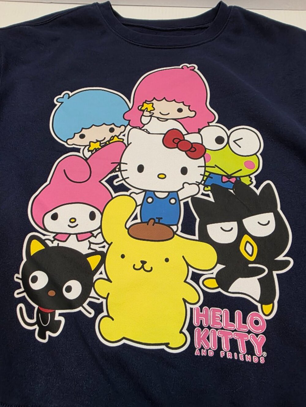 Hello Kitty & Friends Womens Medium Navy Sweatshirt Sanrio Crewneck Pullover